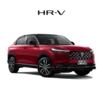 Untitled design (10)